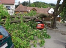 Kwikfynd Tree Cutting Services
jimenbuen